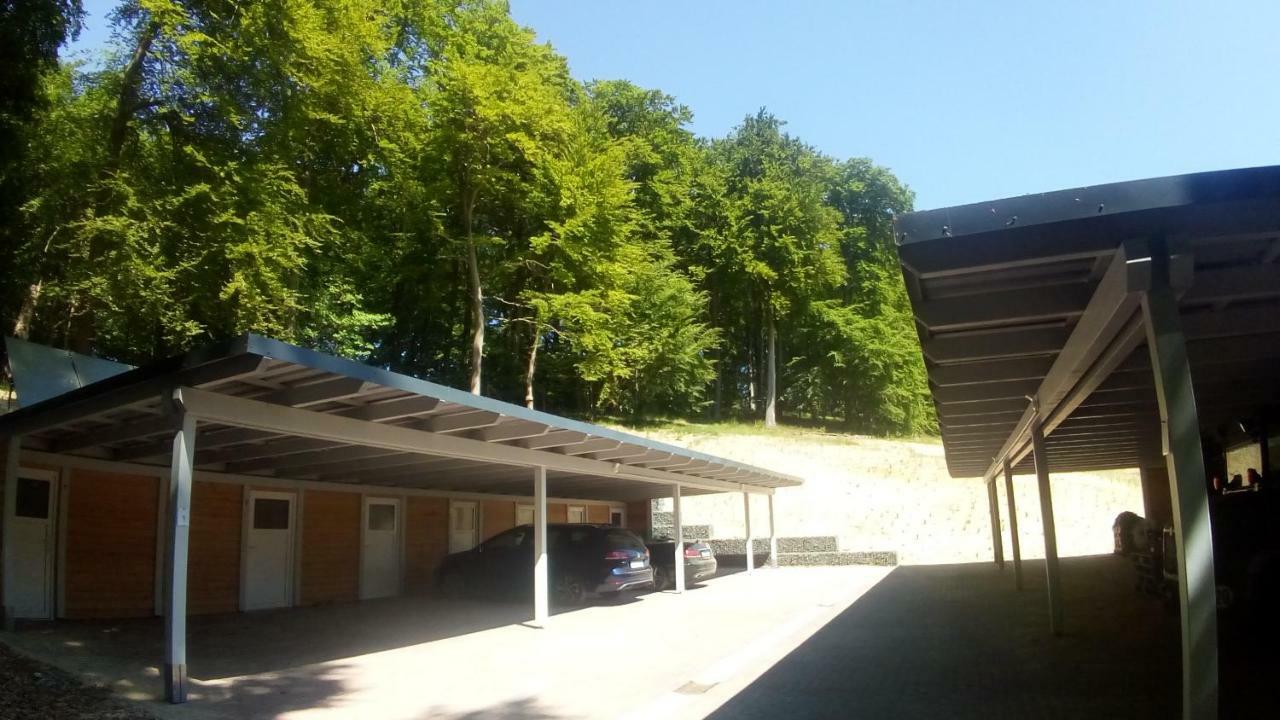 Sellinkoje In Residenz Waldidyll Appartement Buitenkant foto